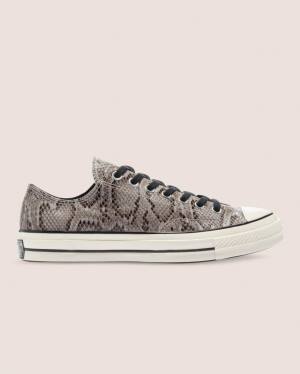 Tenis Cano Baixo Converse Chuck 70 Reptile Camurça Cinzentas | CV-260UHV