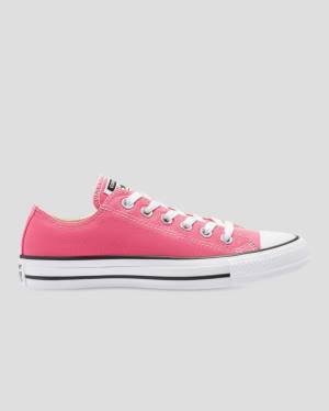 Tenis Cano Baixo Converse Chuck Taylor All Star Seasonal Colour Rosa | CV-713FNW