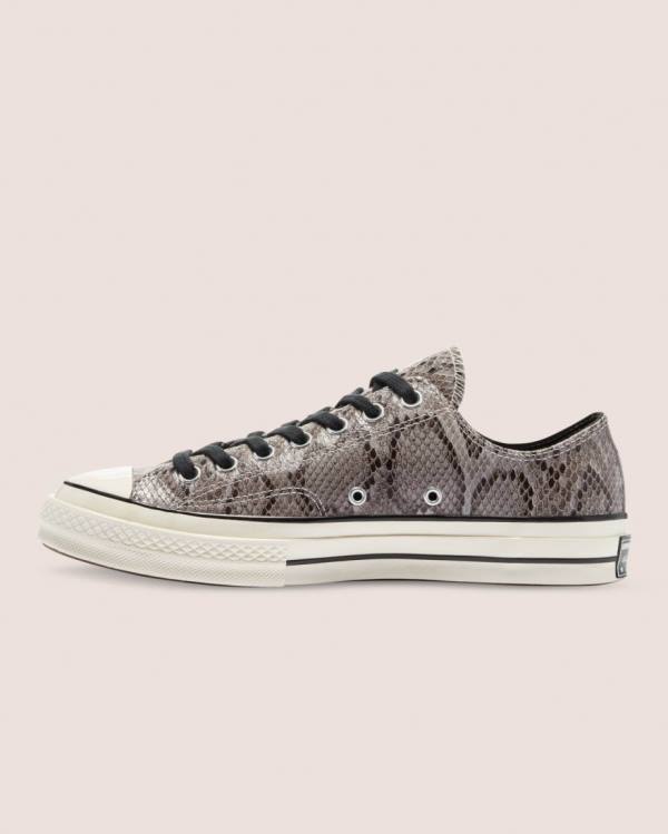 Tenis Cano Baixo Converse Chuck 70 Reptile Camurça Cinzentas | CV-260UHV