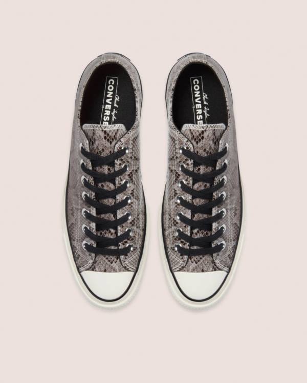 Tenis Cano Baixo Converse Chuck 70 Reptile Camurça Cinzentas | CV-260UHV