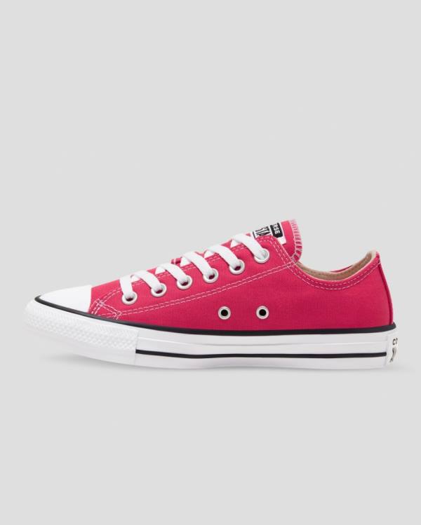 Tenis Cano Baixo Converse Chuck Taylor All Star Seasonal Colour Rosa | CV-328FUQ