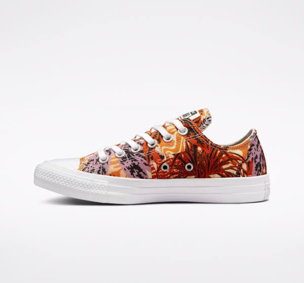 Tenis Cano Baixo Converse Chuck Taylor All Star Tropical Florals Laranja Pretas Branco | CV-527KPD