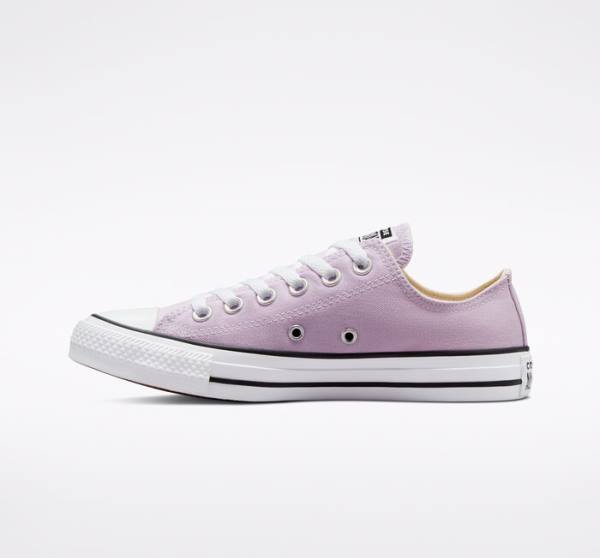 Tenis Cano Baixo Converse Chuck Taylor All Star Seasonal Color Lavanda | CV-794UEB