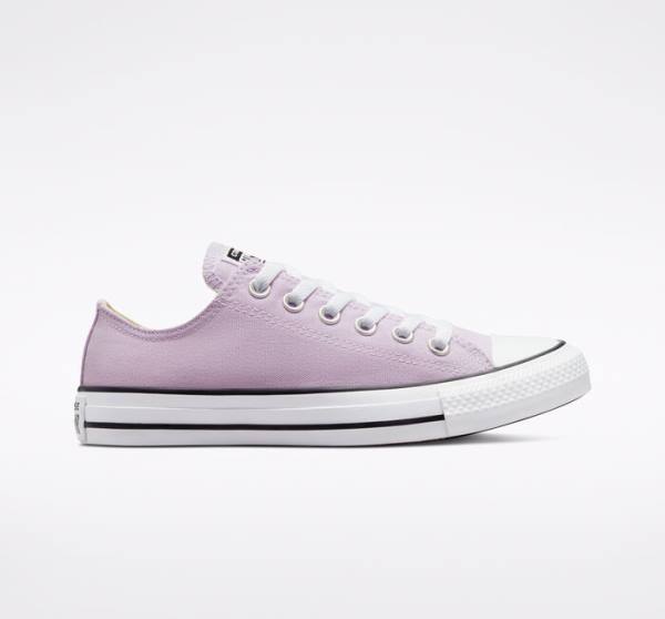 Tenis Cano Baixo Converse Chuck Taylor All Star Seasonal Color Lavanda | CV-794UEB